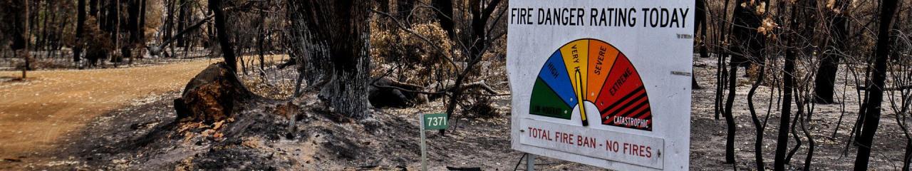 bushfire ban