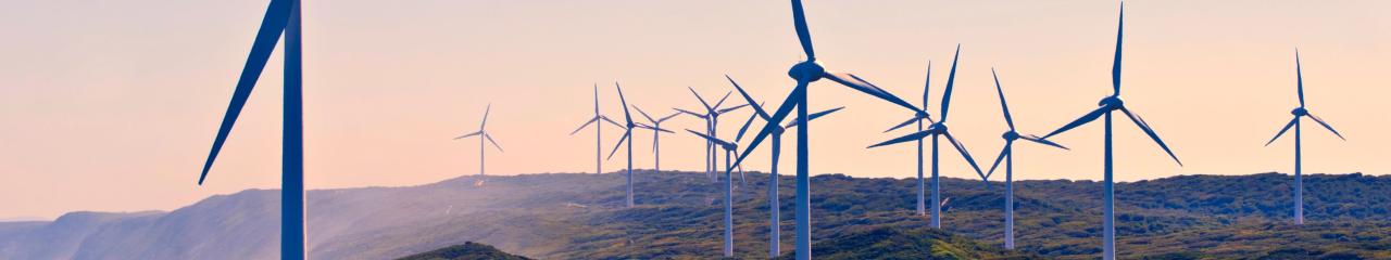 Wind farm in sunset