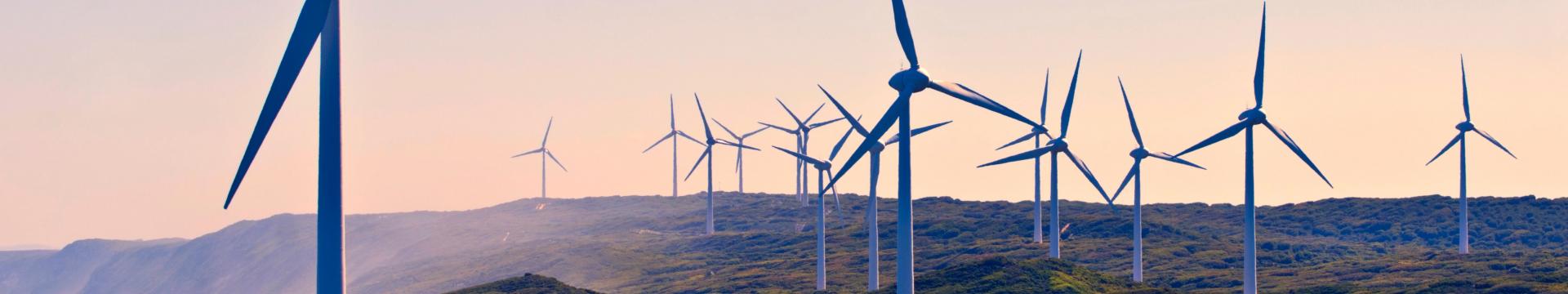 Wind farm in sunset