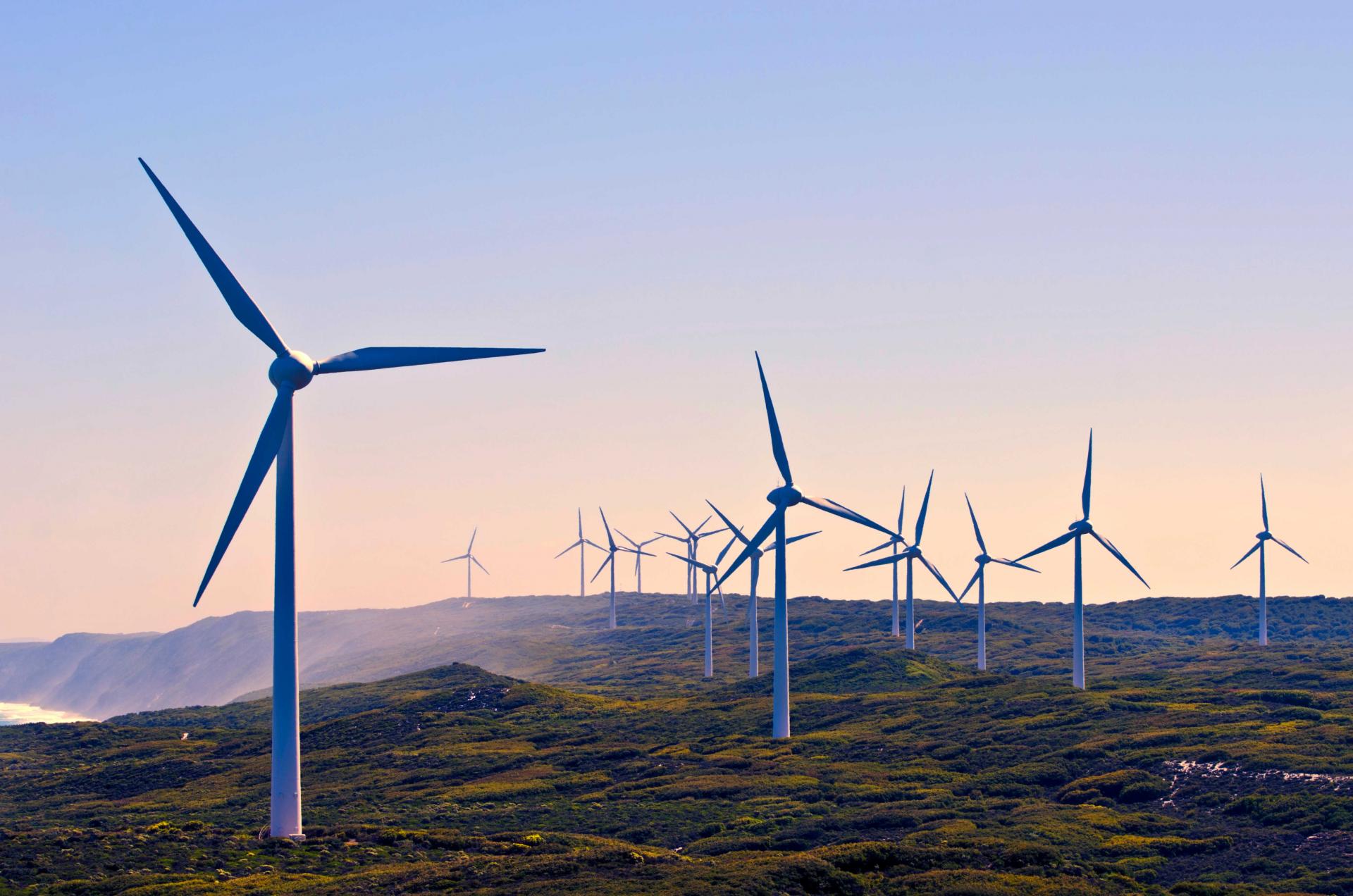 environmental_sustainability